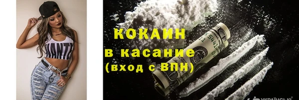 эйфоретик Богданович