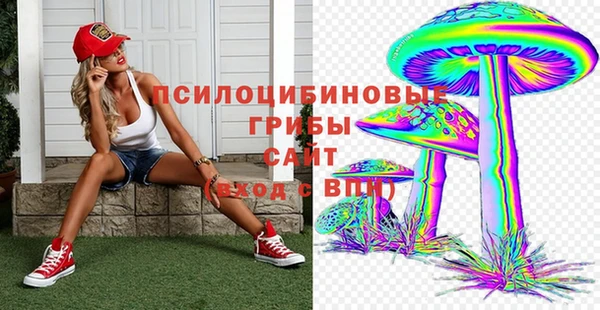 гидра Богородск