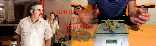 эйфоретик Богданович