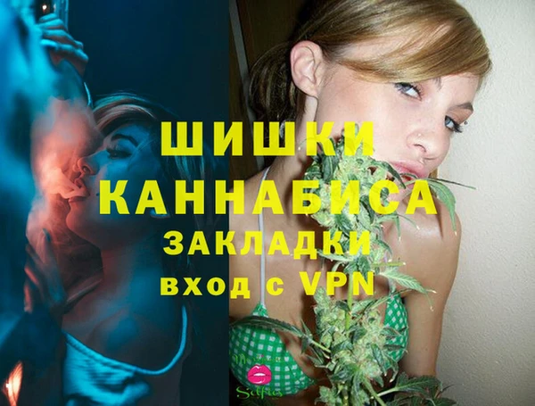 ECSTASY Бронницы