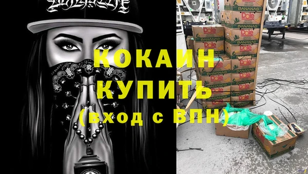 гидра Богородск