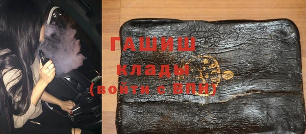 гидра Богородск