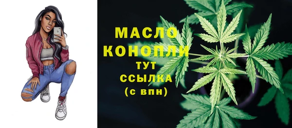 гидра Богородск